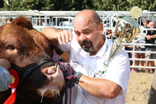 Jihoesk Beef Show 2022