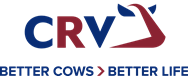 Pehldka bk CRV Zsmuky
