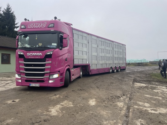 Exporty pokra�uj�.